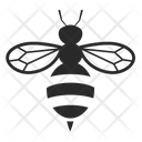 پیش‌نمایش فایل honey-bee-1410451 از پک حشرات