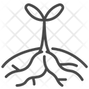 پیش‌نمایش فایل plant-1428244 از پک مزرعه