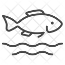 پیش‌نمایش فایل give-alms-by-freeing-fish-11486617 از پک روز وساک