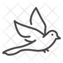 پیش‌نمایش فایل give-alms-freeing-bird-11486616 از پک روز وساک