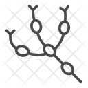 پیش‌نمایش فایل lymph-nodes-12424408 از پک آبله میمونی