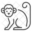 پیش‌نمایش فایل monkey-12424404 از پک آبله میمونی