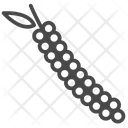 پیش‌نمایش فایل black-pepper-1710484 از پک ادویه‌ها