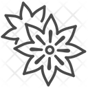 پیش‌نمایش فایل star-anise-1710488 از پک ادویه‌ها