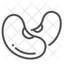 پیش‌نمایش فایل kidney-red-seed-1710099 از پک آجیل