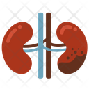 پیش‌نمایش فایل cancer-1714469 از پک اندام
