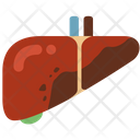 پیش‌نمایش فایل hepatitis-1714462 از پک اندام
