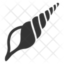 پیش‌نمایش فایل shell-1713717 از پک تابستان