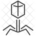 پیش‌نمایش فایل phage-1714265 از پک ویروس
