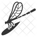 پیش‌نمایش فایل dragonfly-1713658 از پک بهار
