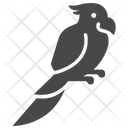 پیش‌نمایش فایل bird-1714917 از پک دزدان دریایی