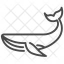 پیش‌نمایش فایل blue-whale-1715246 از پک تماشای نهنگ‌ها
