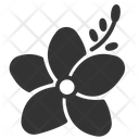 پیش‌نمایش فایل flower-1724311 از پک اسپا