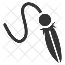 پیش‌نمایش فایل bait-1714847 از پک حیوان خانگی