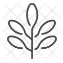 پیش‌نمایش فایل leaf-14933715 از پک گیاه و برگ