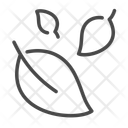 پیش‌نمایش فایل leaf-14933718 از پک گیاه و برگ