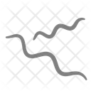 پیش‌نمایش فایل worms-3 از پک باکتری ها