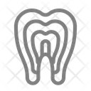 پیش‌نمایش فایل dental-anatomy-1 از پک مراقبت دندان