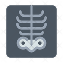 پیش‌نمایش فایل x-ray-69 از پک پزشکی