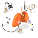پیش‌نمایش فایل human-respiratory-ventilatory-system-7365514 از پک موضوعات متنوع