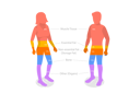 پیش‌نمایش فایل composition-of-human-body-7981067 از پک مجموعه موضوعات متنوع ۰۱۴