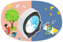 پیش‌نمایش فایل circadian-rhythm-7982106 از پک موضوعات متنوع