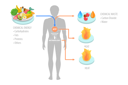 پیش‌نمایش فایل role-of-atp-in-metabolism-7981861 از پک موضوعات متنوع