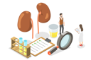 پیش‌نمایش فایل kidney-checkup-8086573 از پک موضوعات متنوع