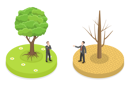 پیش‌نمایش فایل class-discrimination-8086758 از پک مجموعه موضوعات متنوع ۰۳۵