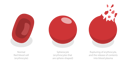 پیش‌نمایش فایل red-blood-cells-8902623 از پک مجموعه موضوعات متنوع ۰۵۹