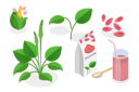 پیش‌نمایش فایل psyllium-plant-8902983 از پک مجموعه موضوعات متنوع ۰۶۰