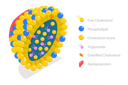 پیش‌نمایش فایل chylomicron-structure-8949055 از پک مجموعه موضوعات متنوع ۰۶۲