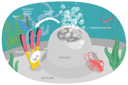 پیش‌نمایش فایل hydrothermal-vent-8949061 از پک مجموعه موضوعات متنوع ۰۶۲