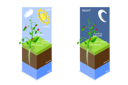 پیش‌نمایش فایل photosynthesis-8949036 از پک مجموعه موضوعات متنوع ۰۶۲