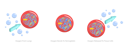 پیش‌نمایش فایل blood-cells-in-bloodstream-8878187 از پک موضوعات متنوع