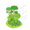 پیش‌نمایش فایل dense-tropical-jungle-8878223 از پک موضوعات متنوع