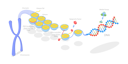 پیش‌نمایش فایل epigenetic-mechanisms-9061015 از پک مجموعه موضوعات متنوع ۰۶۴