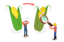 پیش‌نمایش فایل overripe-harvest-9351995 از پک مجموعه موضوعات متنوع ۰۶۷
