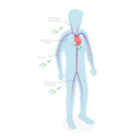 پیش‌نمایش فایل picc-line-9351982 از پک مجموعه موضوعات متنوع ۰۶۷