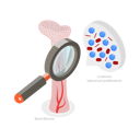 پیش‌نمایش فایل leukemia-disease-9743799 از پک موضوعات متنوع