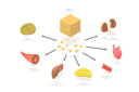 پیش‌نمایش فایل effects-of-adiponectin-9913916 از پک مجموعه موضوعات متنوع ۰۷۳