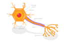 پیش‌نمایش فایل neurotransmitter-release-mechanism-9913919 از پک مجموعه موضوعات متنوع ۰۷۳