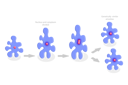 پیش‌نمایش فایل amoeba-reproduction-and-irregular-binary-fission-10009143 از پک مجموعه موضوعات متنوع ۰۷۸