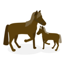 پیش‌نمایش فایل adult-horse-taking-care-of-baby-horse-10400553 از پک مجموعه موضوعات متنوع ۰۸۹