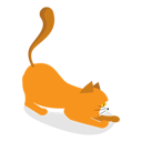 پیش‌نمایش فایل cat-sitting-in-aggressive-position-10400578 از پک مجموعه موضوعات متنوع ۰۸۹