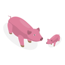 پیش‌نمایش فایل adult-pig-taking-care-of-baby-pig-10400508 از پک مجموعه موضوعات متنوع ۰۸۸