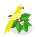 پیش‌نمایش فایل parrot-sitting-on-stem-with-flowers-10400614 از پک مجموعه موضوعات متنوع ۰۹۰