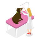 پیش‌نمایش فایل specialist-is-doing-pet-grooming-10400963 از پک مجموعه موضوعات متنوع ۱۰۳