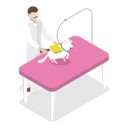 پیش‌نمایش فایل specialist-is-doing-pet-grooming-10401016 از پک مجموعه موضوعات متنوع ۱۰۲