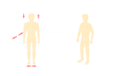 پیش‌نمایش فایل human-body-anatomical-planes-10393491 از پک مجموعه موضوعات متنوع ۰۸۵